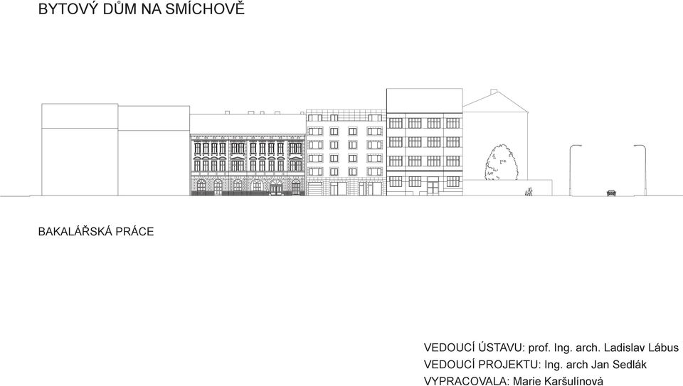 Ladislav Lábus VEDOUCÍ PROJEKTU: Ing.
