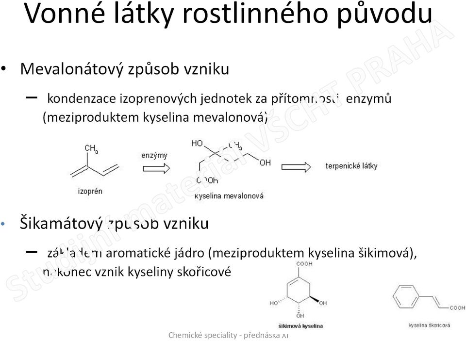 (meziproduktem kyselina mevalonová) Šikamátový způsob vzniku