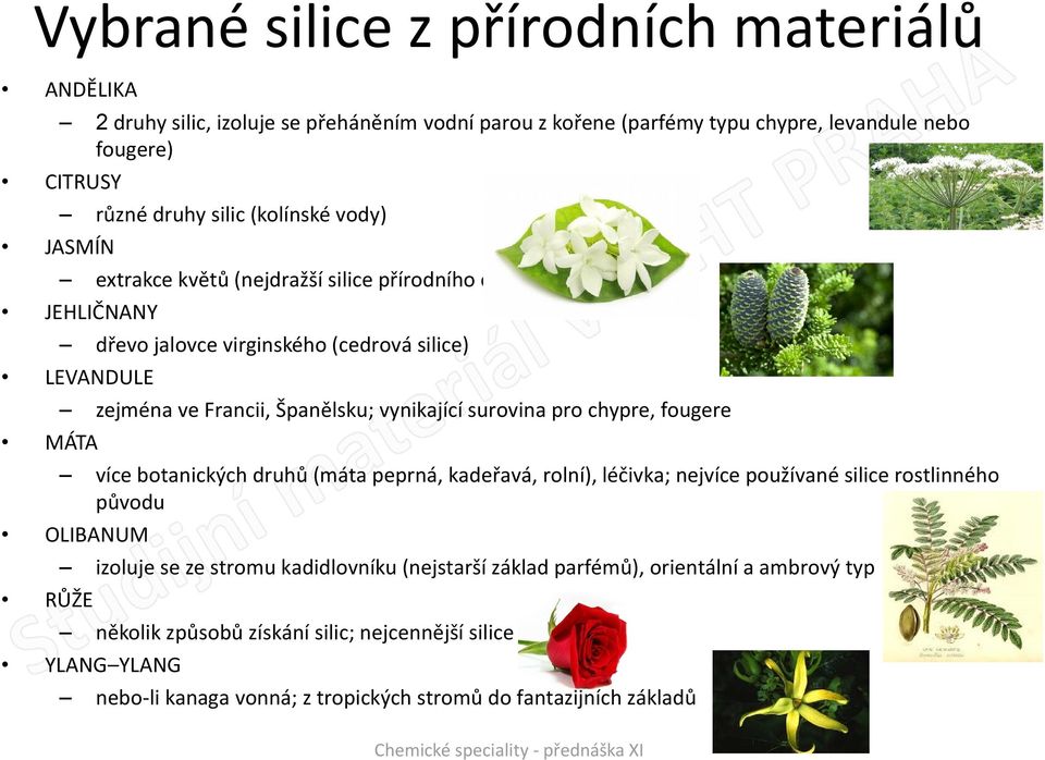 vynikající surovina pro chypre, fougere více botanických druhů (máta peprná, kadeřavá, rolní), léčivka; nejvíce používané silice rostlinného původu LIBANUM RŮŽE izoluje se ze stromu