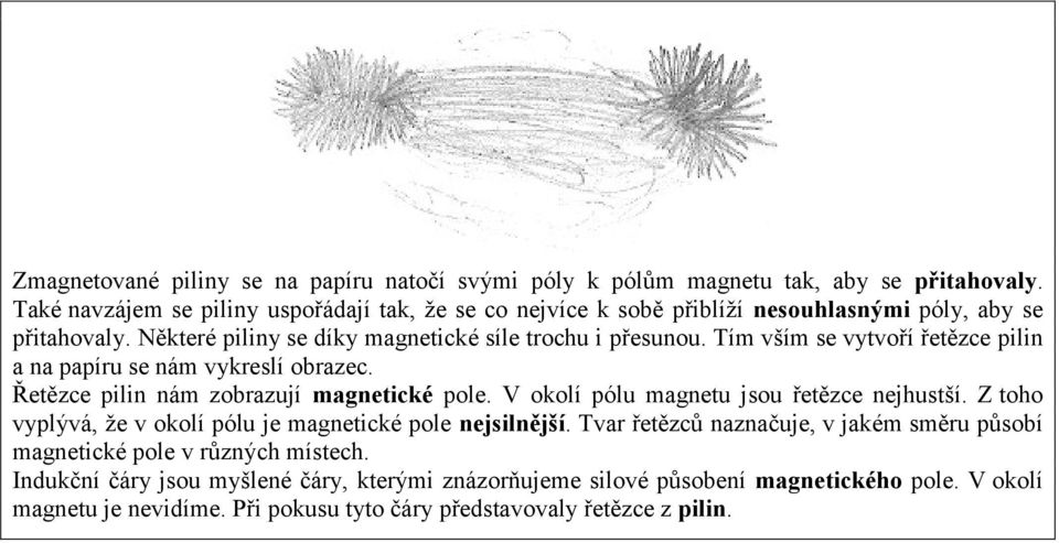 Tím vším se vytvoří řetězce pilin a na papíru se nám vykreslí obrazec. Řetězce pilin nám zobrazují magnetické pole. V okolí pólu magnetu jsou řetězce nejhustší.