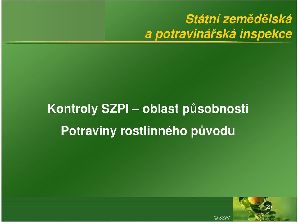 Kontroly SZPI oblast