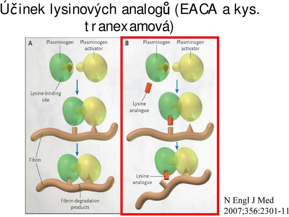 tranexamová) N Engl