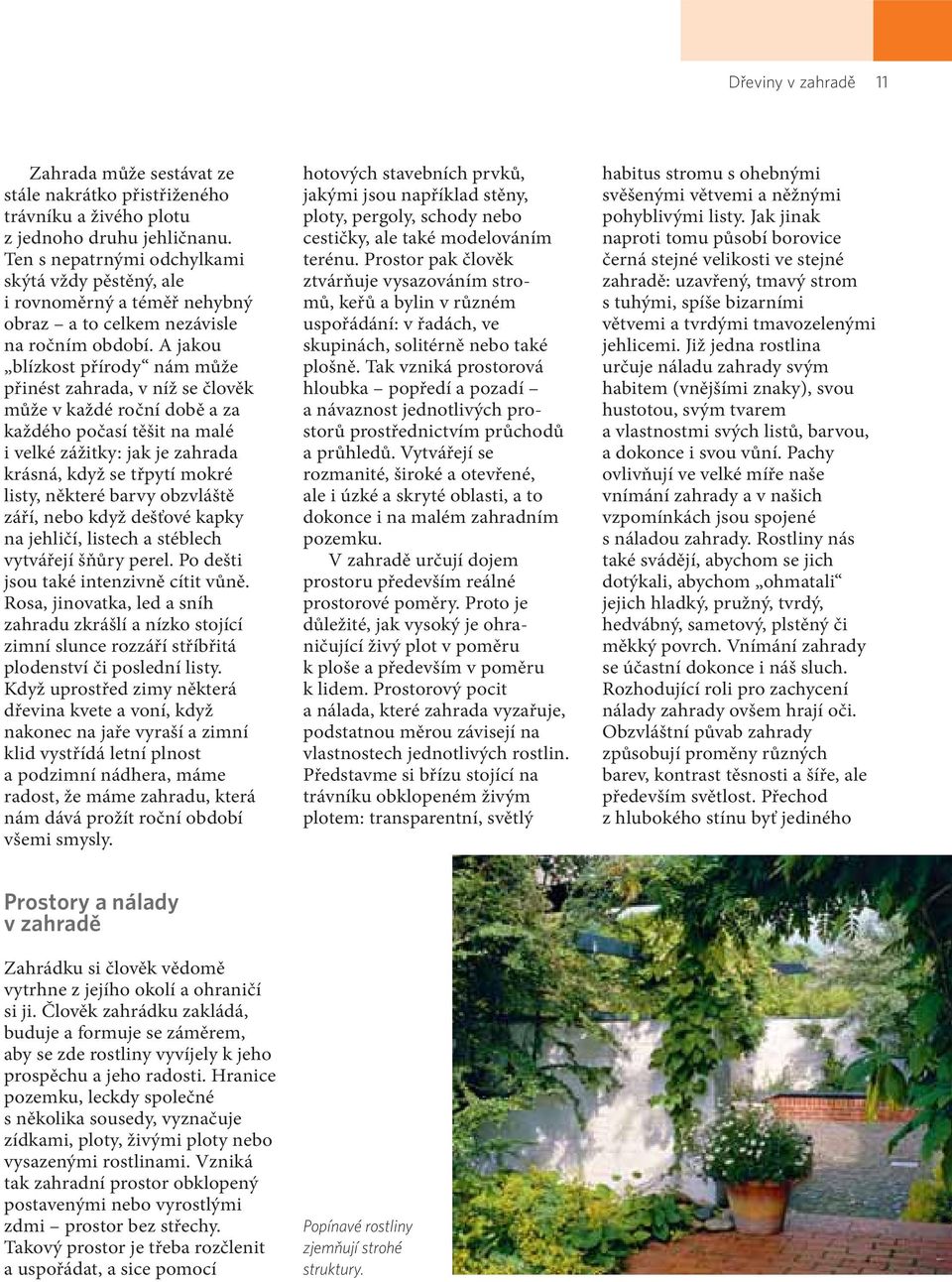 A jakou blízkost přírody nám může přinést zahrada, v níž se člověk může v každé roční době a za každého počasí těšit na malé i velké zážitky: jak je zahrada krásná, když se třpytí mokré listy,