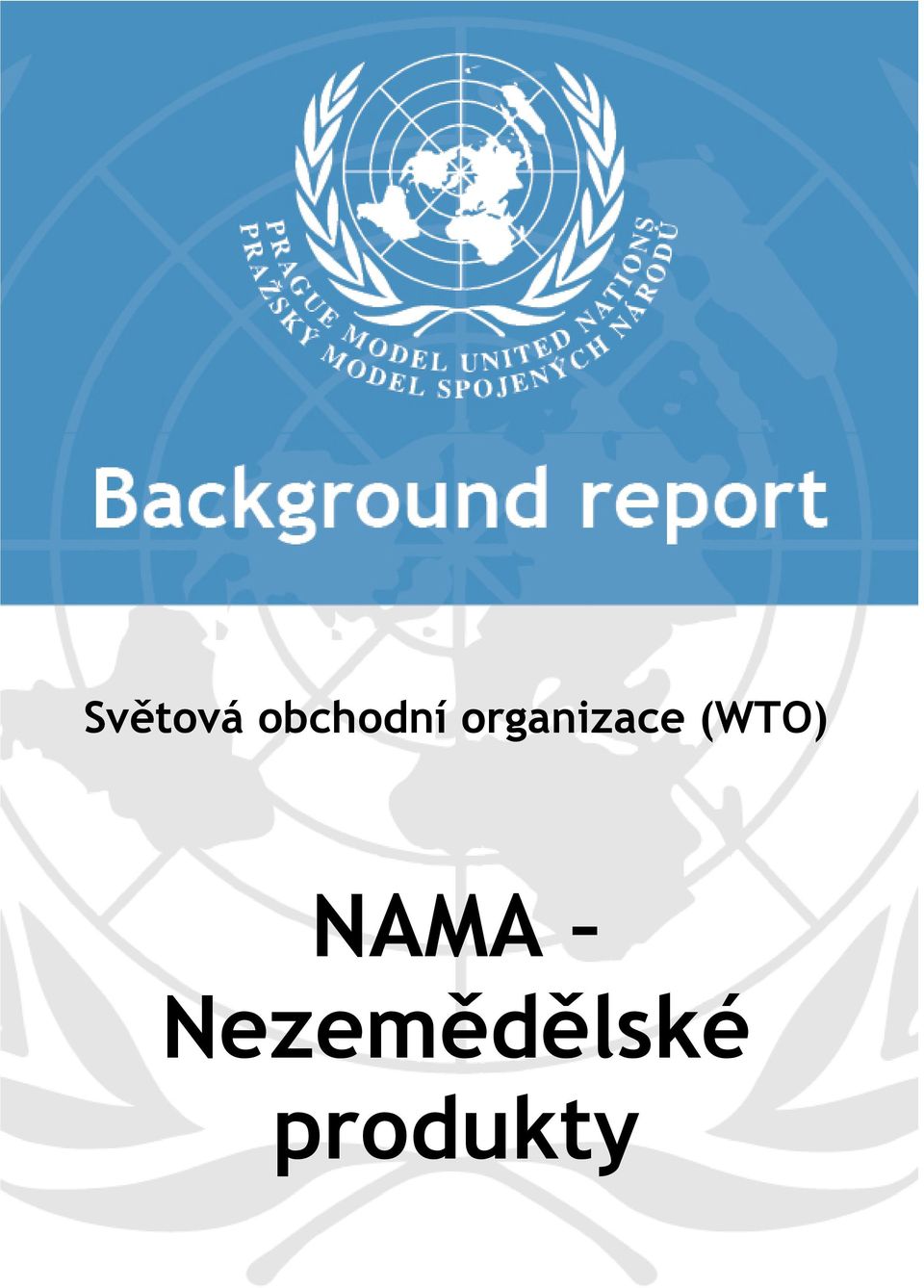 organizace (WTO)