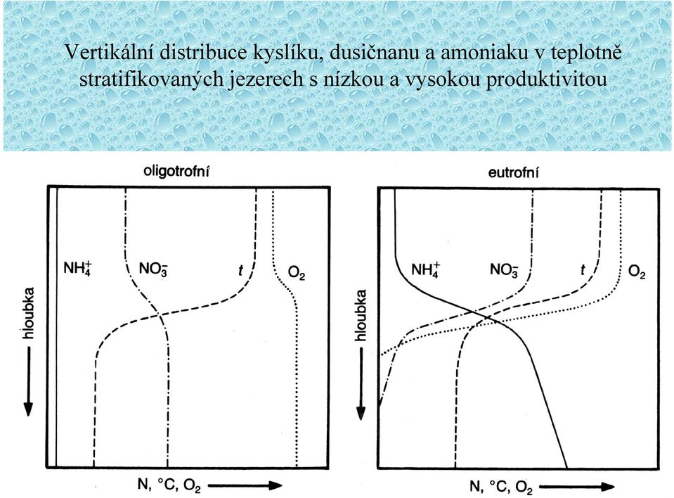 teplotně stratifikovaných