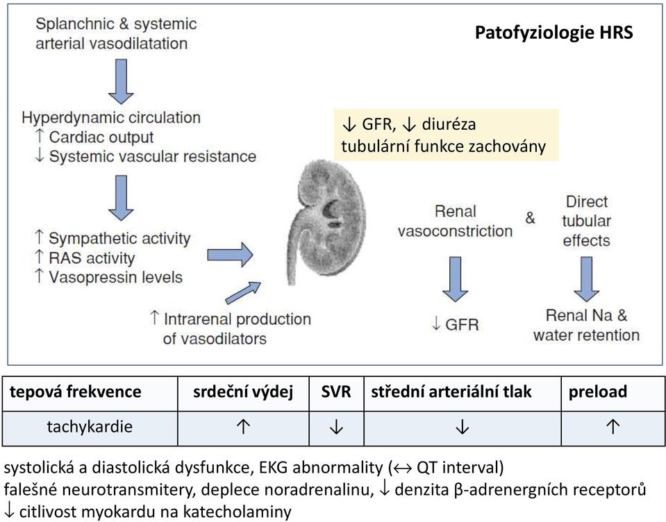 diastolická dysfunkce, EKG abnormality ( QT interval) falešné neurotransmitery,