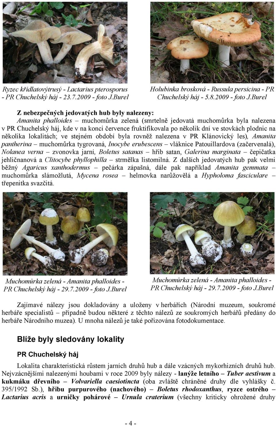 Burel Z nebezpečných jedovatých hub byly nalezeny: Amanita phalloides muchomůrka zelená (smrtelně jedovatá muchomůrka byla nalezena v PR Chuchelský háj, kde v na konci července fruktifikovala po