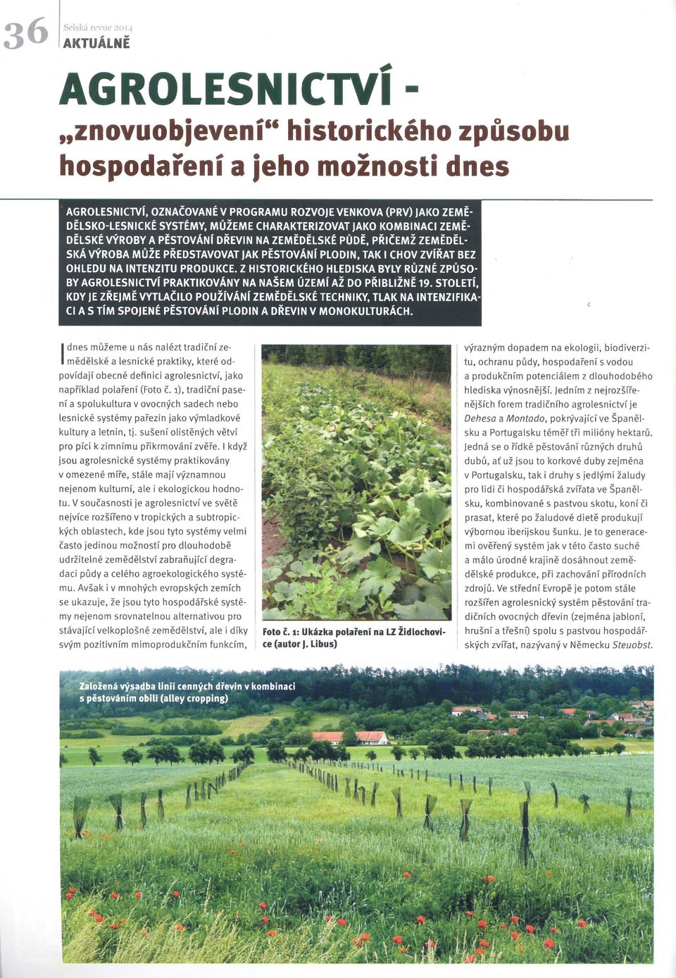 PĚSTOVÁNÍ PLODIN, TAK I CHOV ZVÍŘAT BEZ OHLEDU NA INTENZITU PRODUKCE. Z HISTORICKÉHO HLEDISKA BYLY RŮZNÉ ZPŮSO BY AGROLESNICTVÍ PRAKTIKOVÁNY NA NAŠEM ÚZEMÍ AŽ DO PŘIBLIŽNĚ 19.