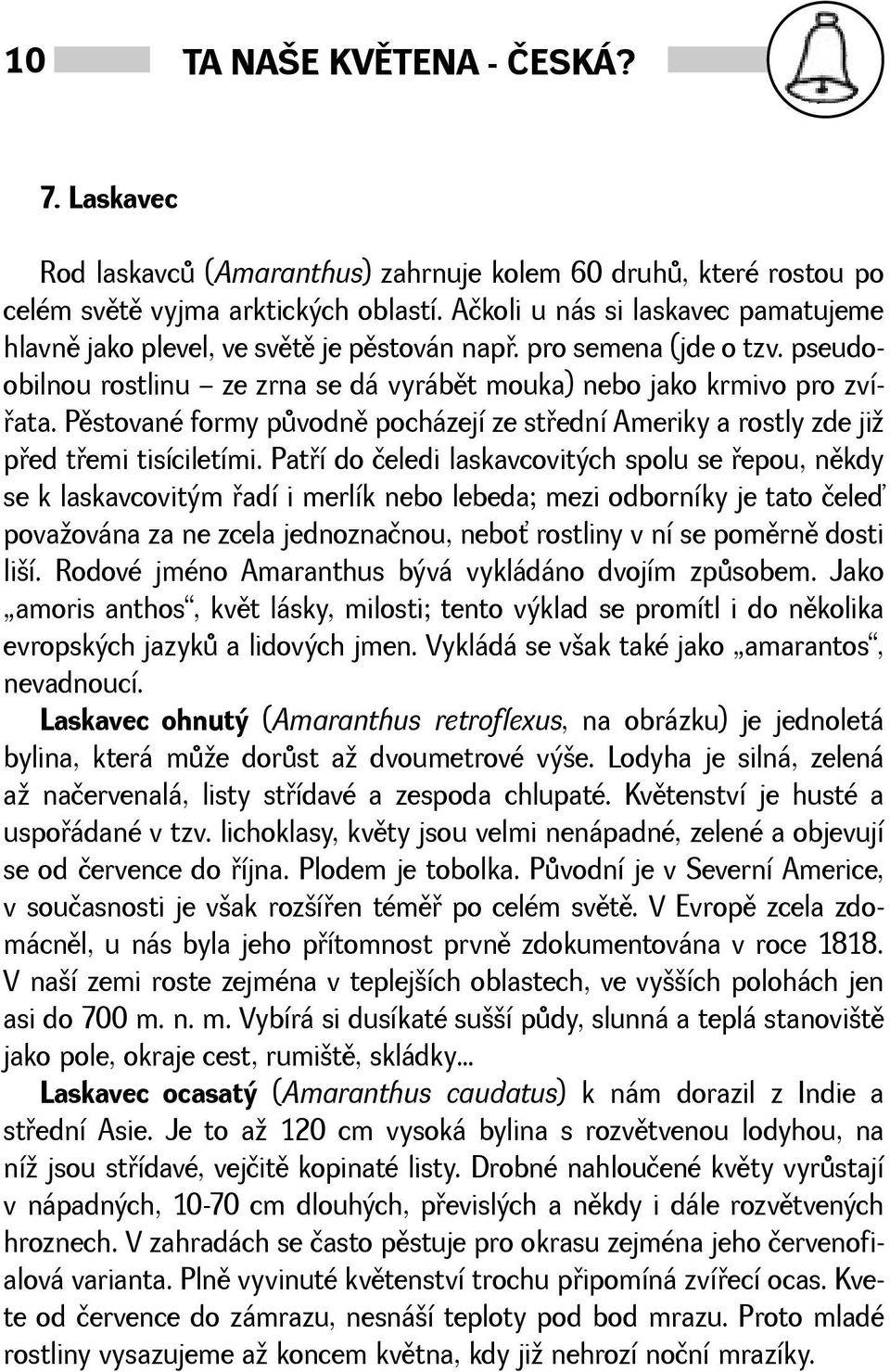 Pìstované formy pùvodnì pocházejí ze støední Ameriky a rostly zde ji pøed tøemi tisíciletími.