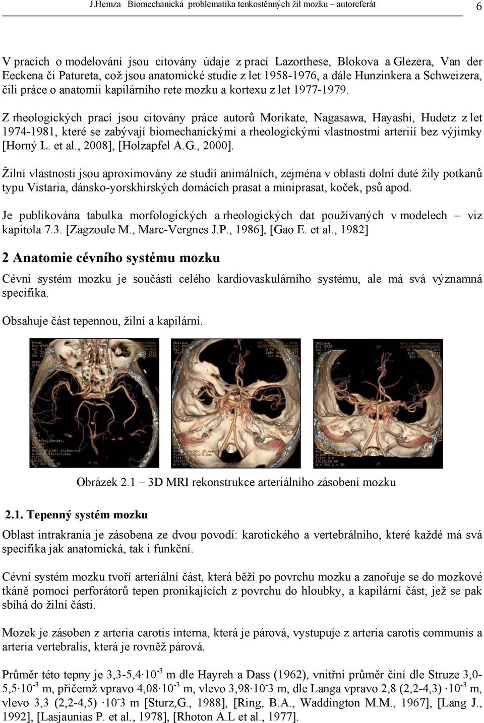 Z rheologických prací jsou citovány práce autorů Morikate, Nagasawa, Hayashi, Hudetz z let 1974-1981, které se zabývají biomechanickými a rheologickými vlastnostmi arteriíí bez výjimky [Horný L.