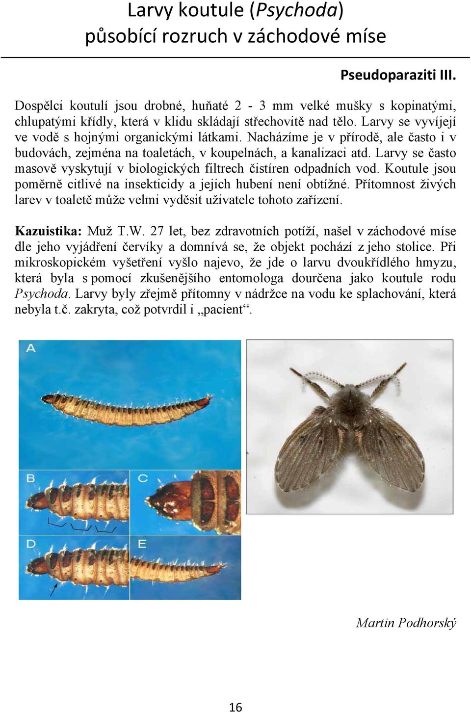 Nacházíme je v přírodě, ale často i v budovách, zejména na toaletách, v koupelnách, a kanalizaci atd. Larvy se často masově vyskytují v biologických filtrech čistíren odpadních vod.