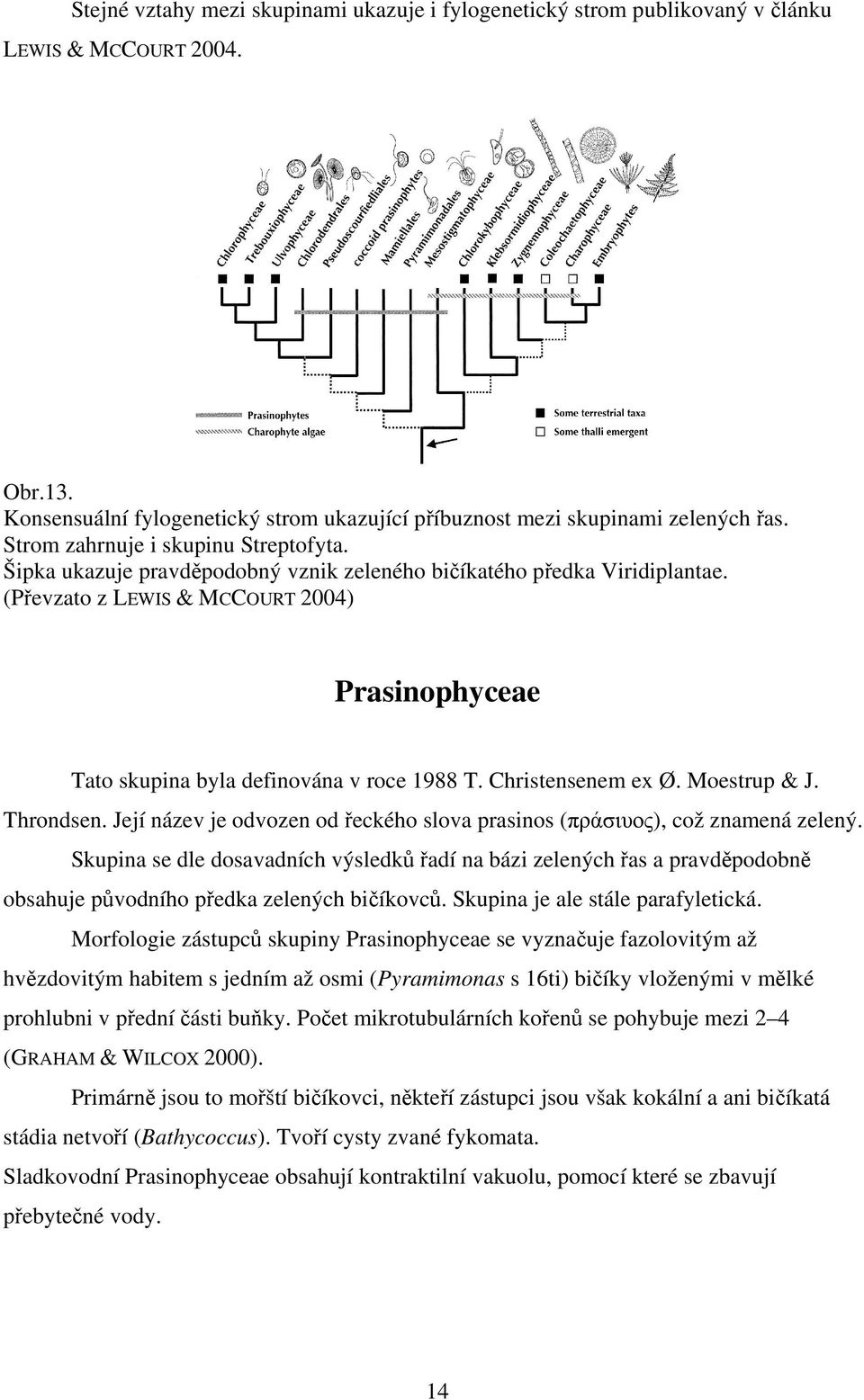 (Převzato z LEWIS & MCCOURT 2004) Prasinophyceae Tato skupina byla definována v roce 1988 T. Christensenem ex Ø. Moestrup & J. Throndsen.