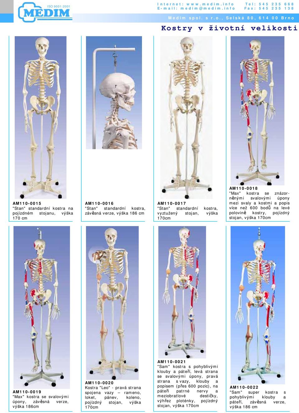 "Max" kostra se svalovými úpony, závěsná verze, výška 186cm AM110-0020 Kostra "Leo" - pravá strana spojena vazy rameno, loket, pánev, koleno, pojízdný stojan, výška 170cm AM110-0021 "Sam" kostra s