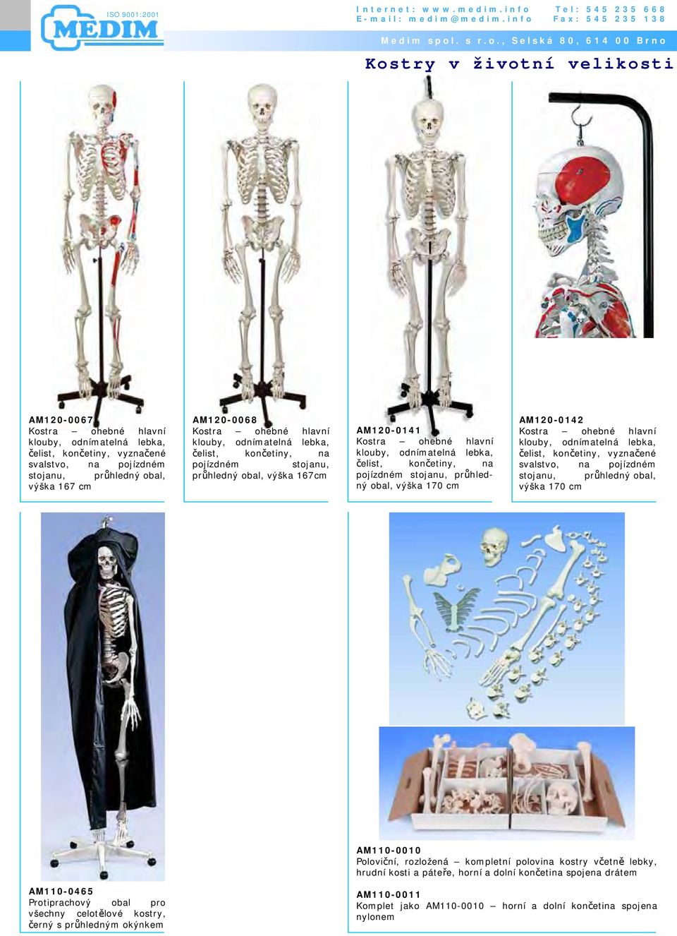 pojízdném stojanu, průhledný obal, výška 170 cm AM110-0010 Poloviční, rozložená kompletní polovina kostry včetně lebky, hrudní kosti a páteře, horní a dolní končetina
