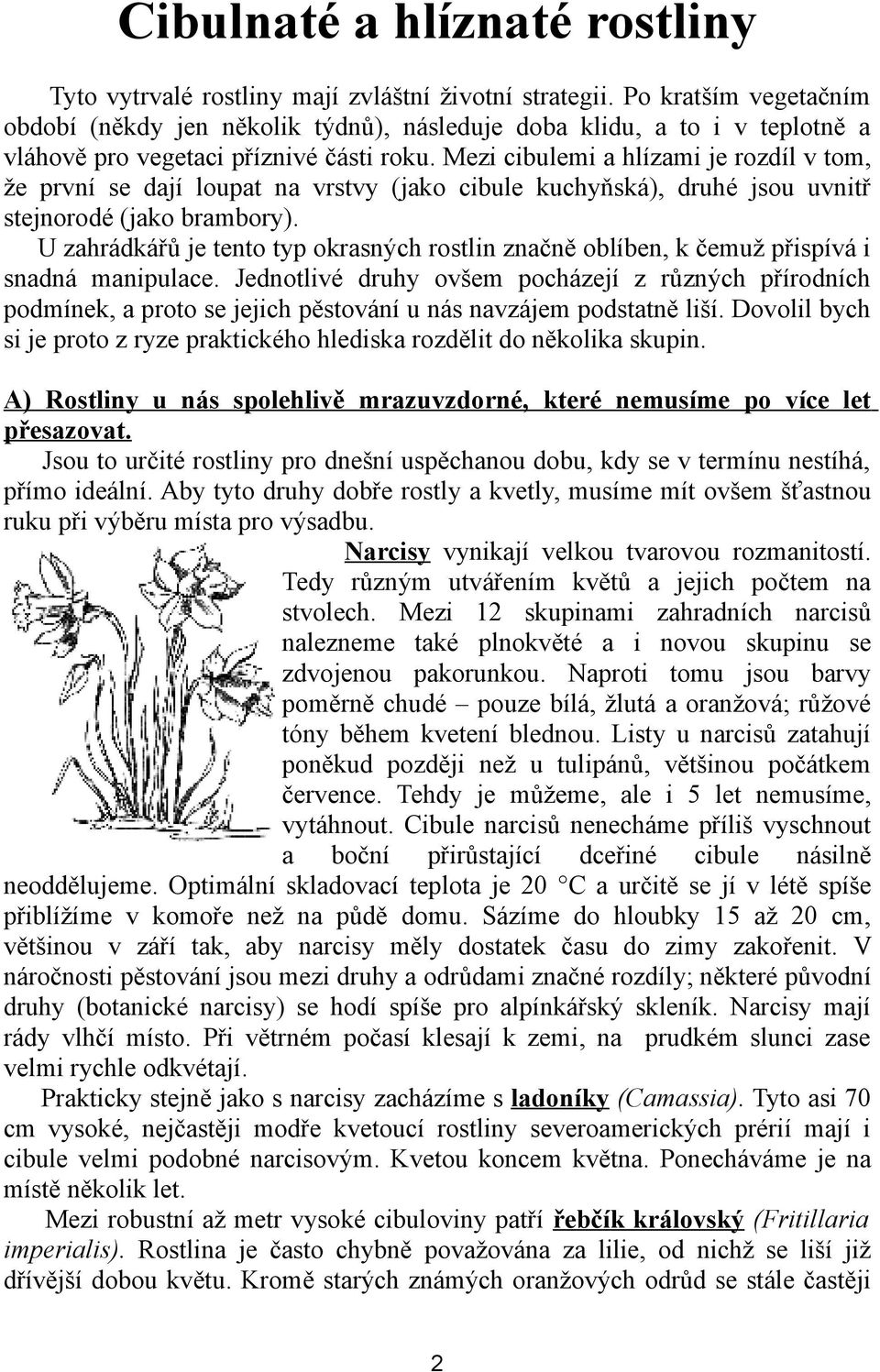 Mezi cibulemi a hlízami je rozdíl v tom, že první se dají loupat na vrstvy (jako cibule kuchyňská), druhé jsou uvnitř stejnorodé (jako brambory).