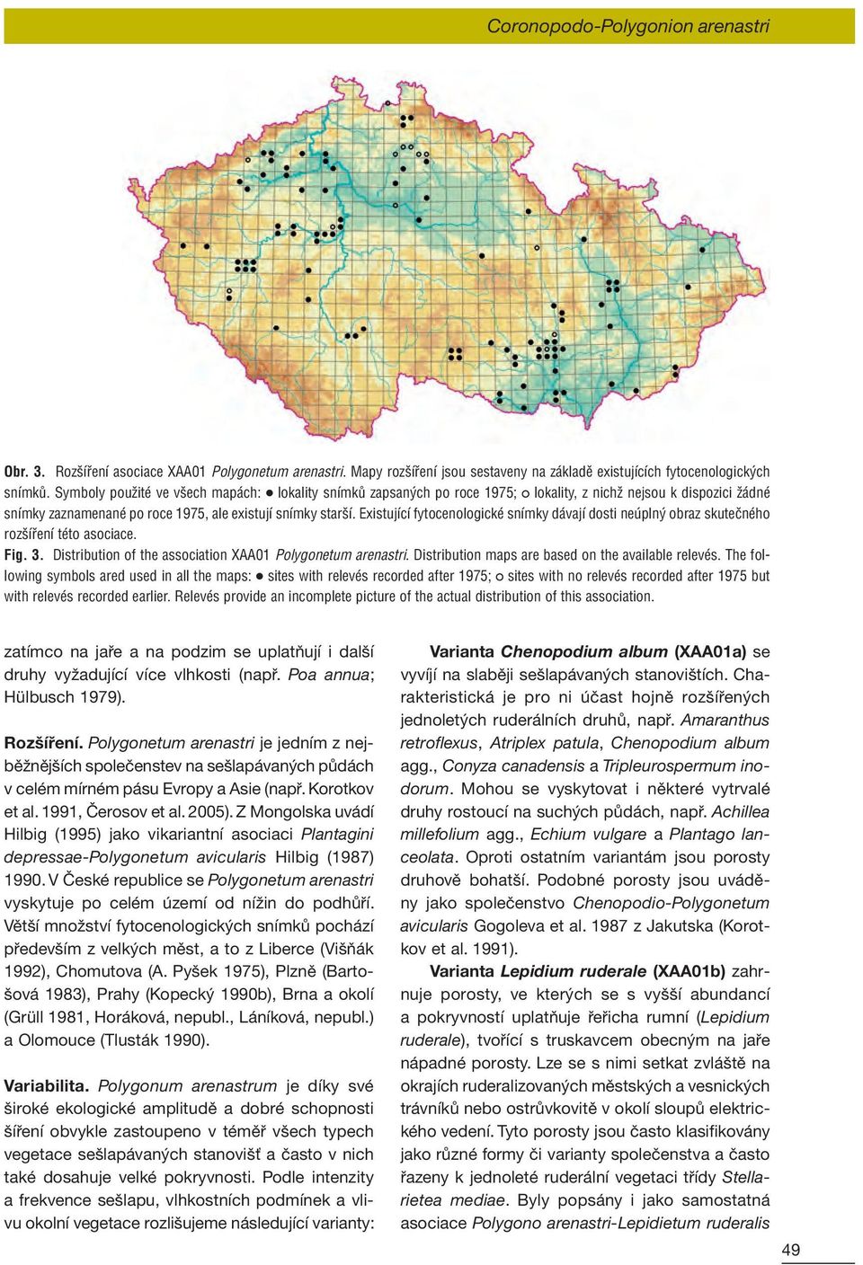 Existující fytocenologické snímky dávají dosti neúplný obraz skutečného rozšíření této asociace. Fig. 3. Distribution of the association XAA01 Polygonetum arenastri.