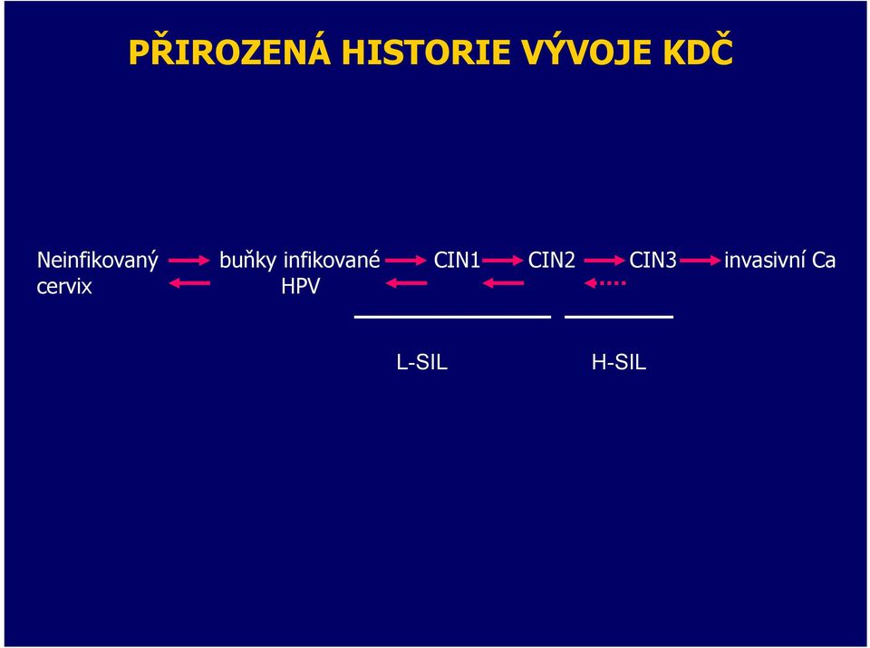 infikované cervix HPV CIN1