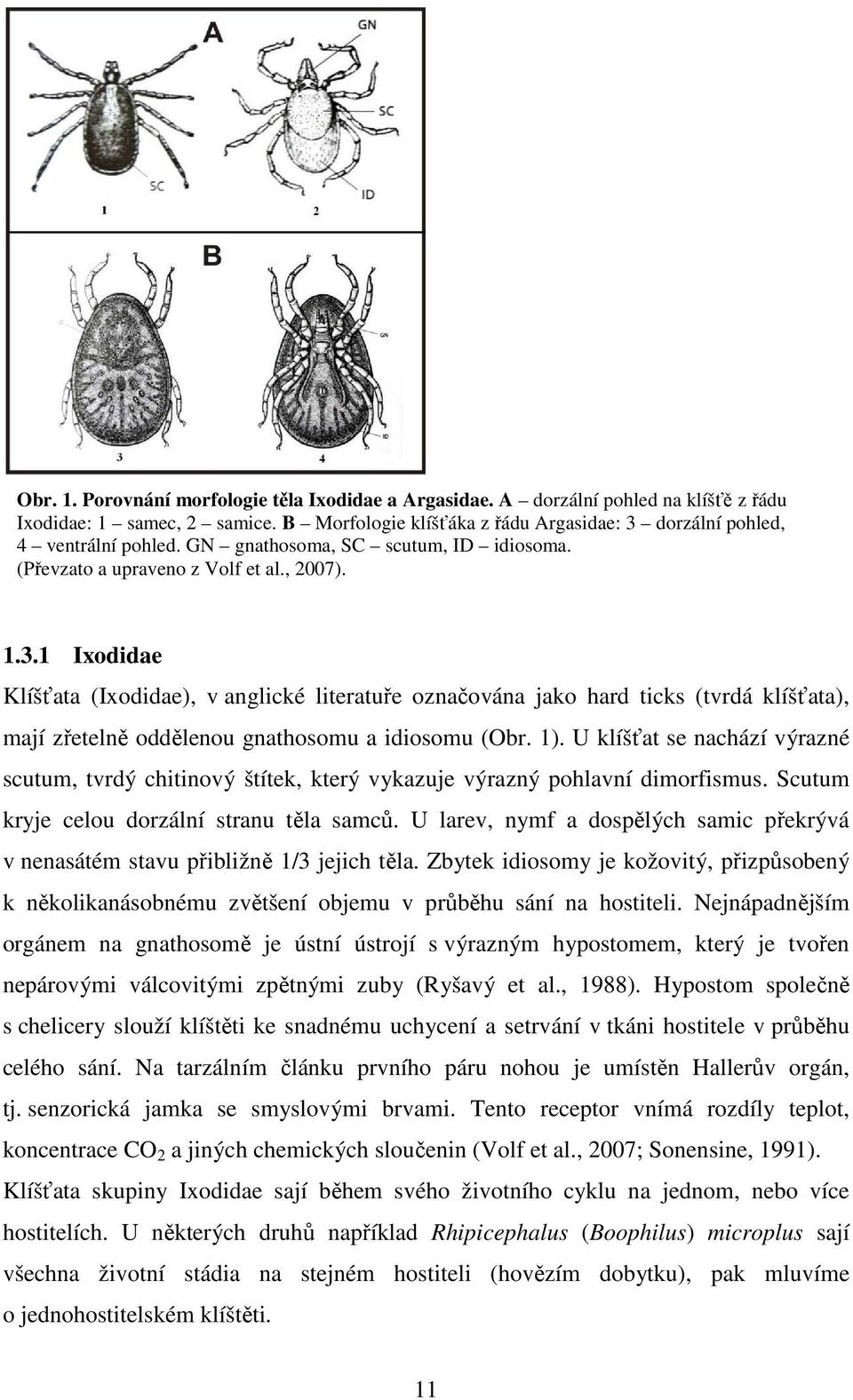 1 Ixodidae Klíšťata (Ixodidae), v anglické literatuře označována jako hard ticks (tvrdá klíšťata), mají zřetelně oddělenou gnathosomu a idiosomu (Obr. 1).