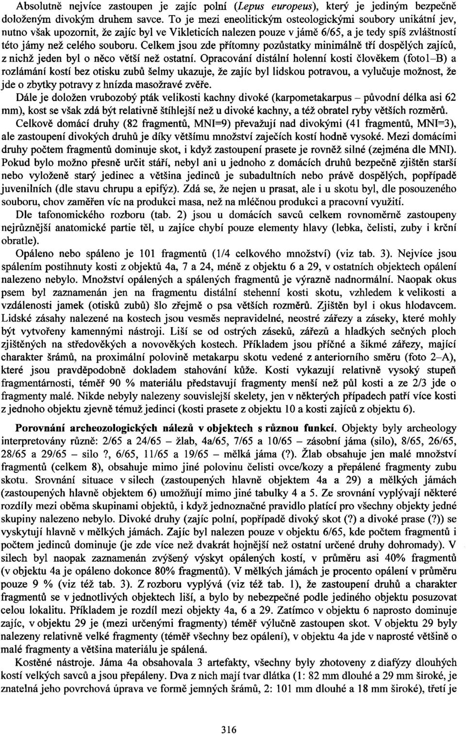 Celkem jsou zde pfitomny pozdstatky minimaln6 tfi dosp6lych zajicd, z nichi jeden by1 o n6co v6tsi nei ostatni.