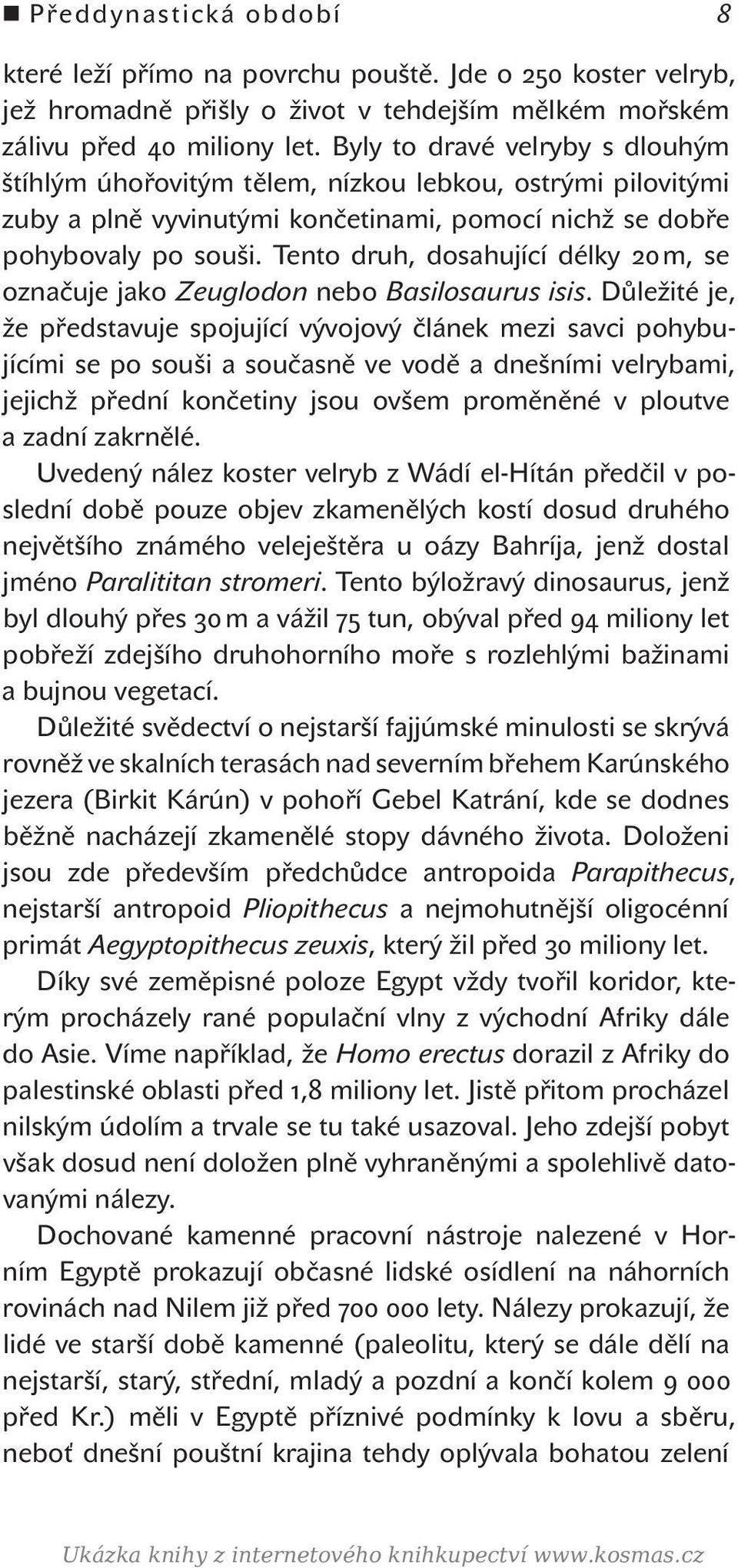 Tento druh, dosahující délky 20 m, se označuje jako Zeuglodon nebo Basilosaurus isis.