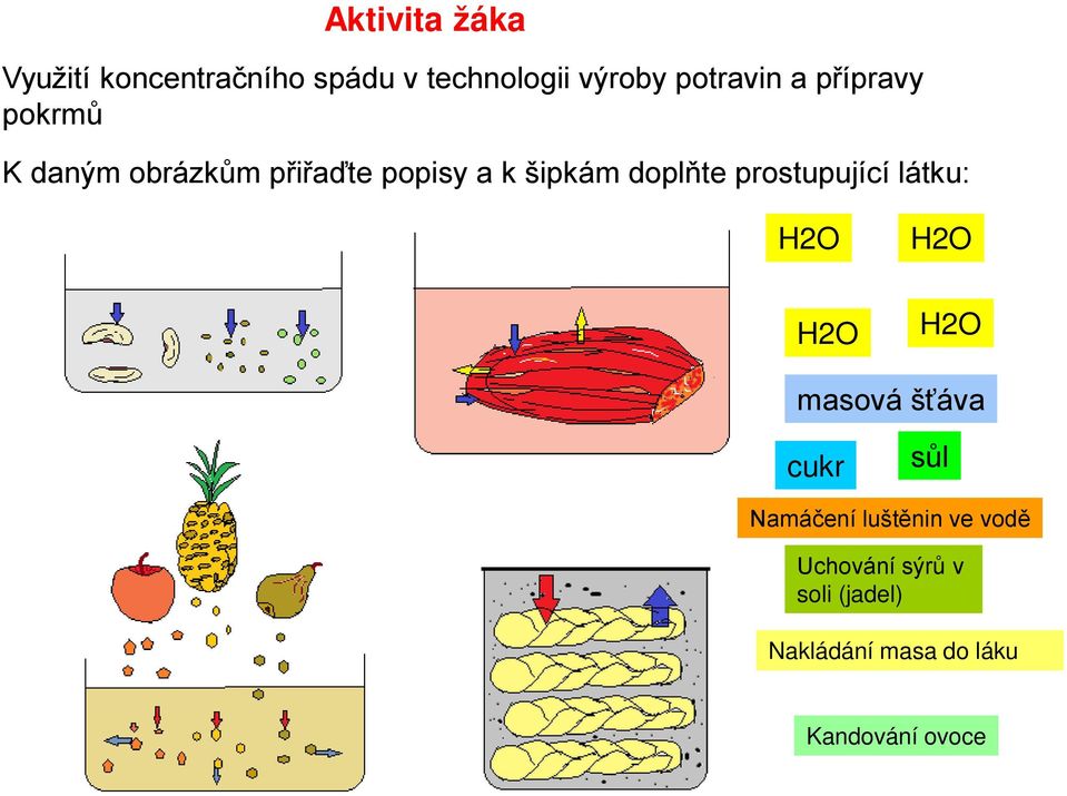 šipkám doplňte prostupující látku: masová šťáva cukr sůl Namáčení