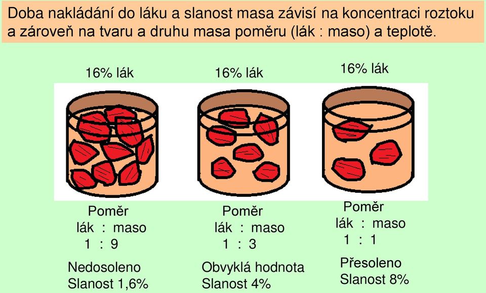 16% lák 16% lák 16% lák Poměr lák : maso 1 : 9 Nedosoleno Slanost 1,6%