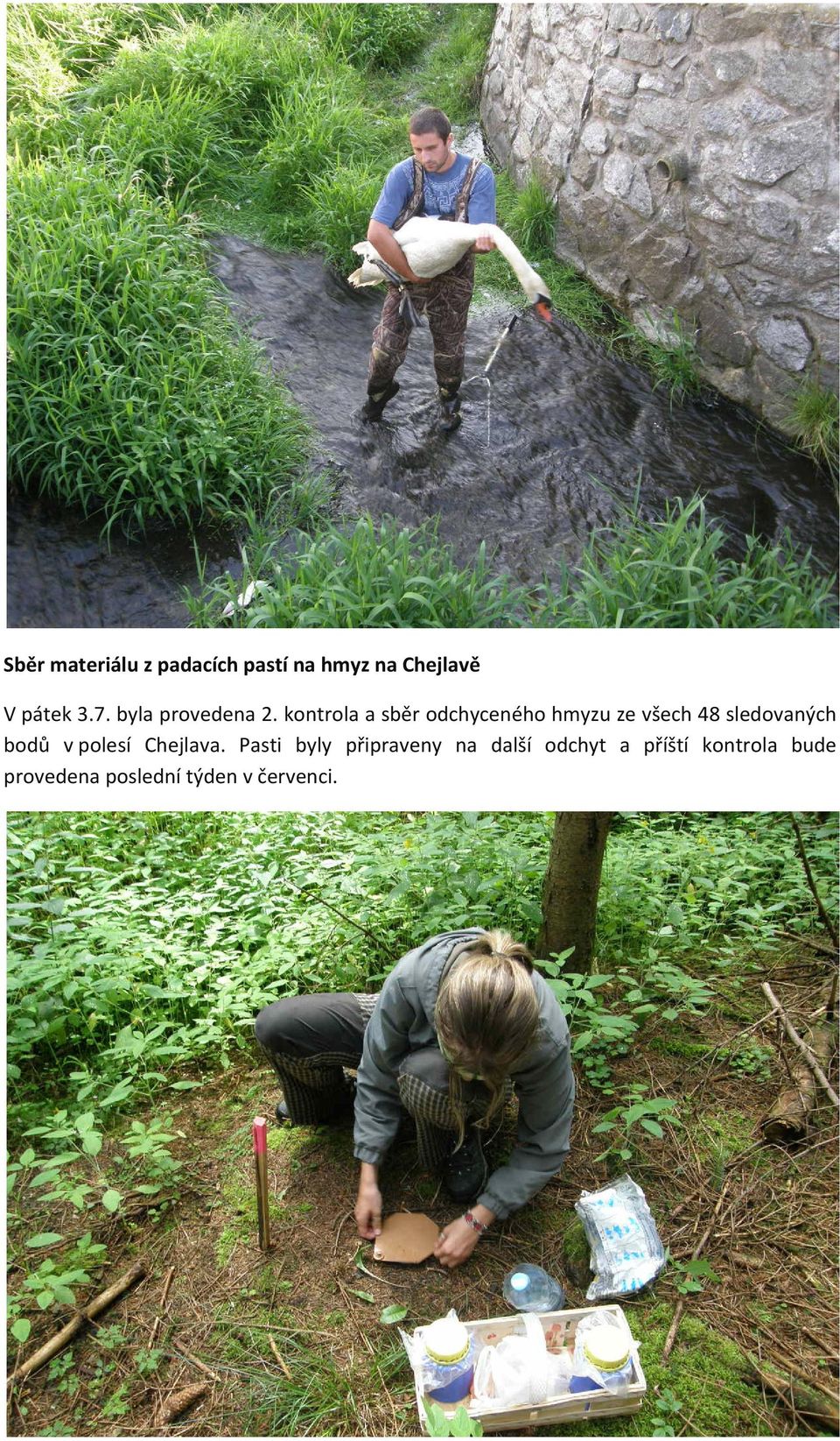 kontrola a sběr odchyceného hmyzu ze všech 48 sledovaných bodů v
