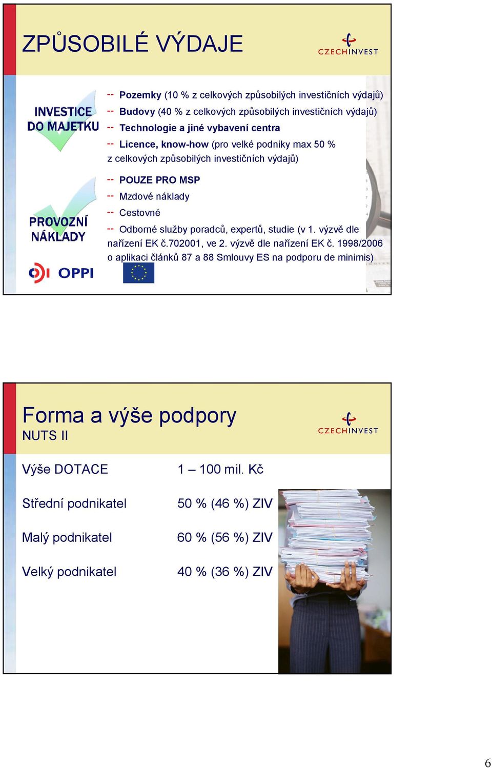 služby poradců, expertů, studie (v 1. výzvě dle nařízení EK č.