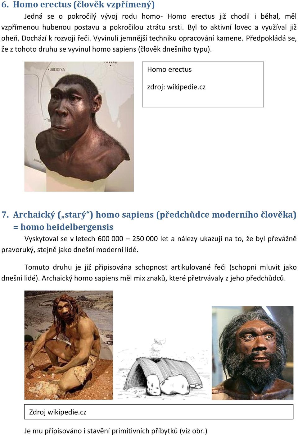 Homo erectus zdroj: wikipedie.cz 7.