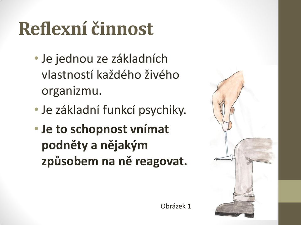 Je základní funkcí psychiky.