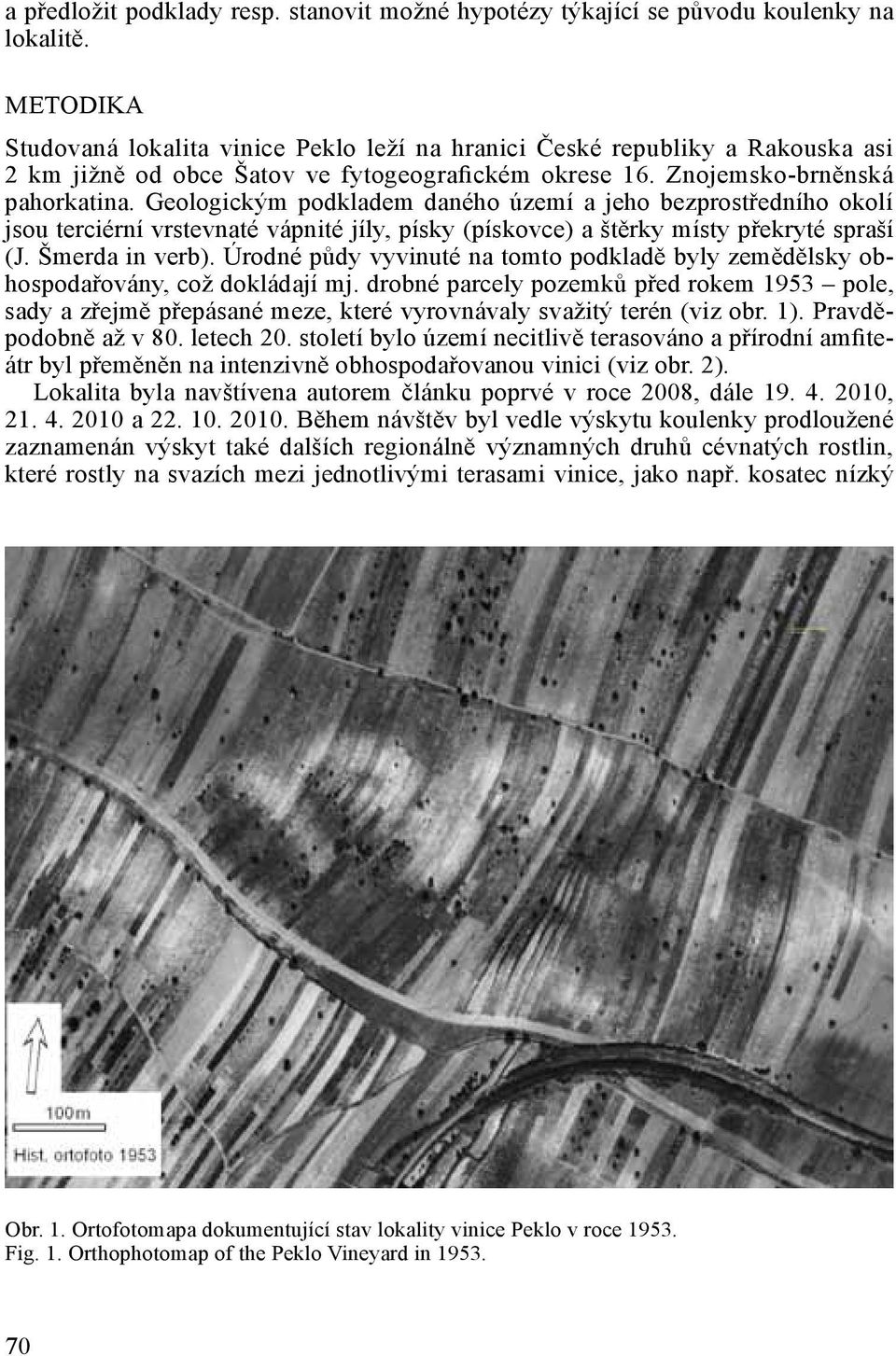 Geologickým podkladem daného území a jeho bezprostředního okolí jsou terciérní vrstevnaté vápnité jíly, písky (pískovce) a štěrky místy překryté spraší (J. Šmerda in verb).
