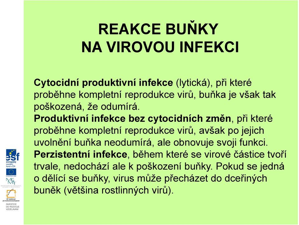 Produktivní infekce bez cytocidních změn, při které proběhne kompletní reprodukce virů, avšak po jejich uvolnění buňka neodumírá,