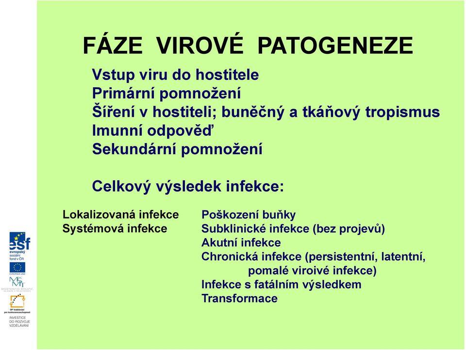 infekce Systémová infekce Poškození buňky Subklinické infekce (bez projevů) Akutní infekce