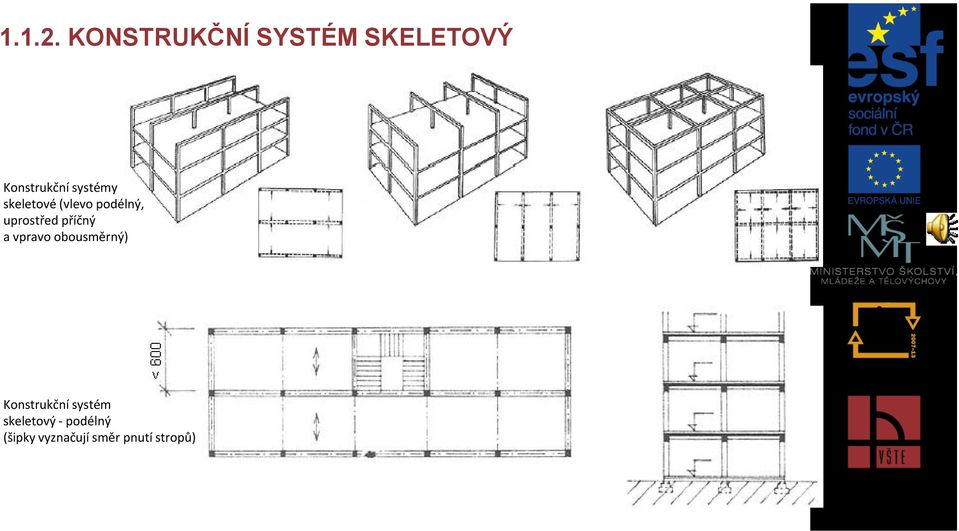 skeletové (vlevo podélný, uprostřed příčný a