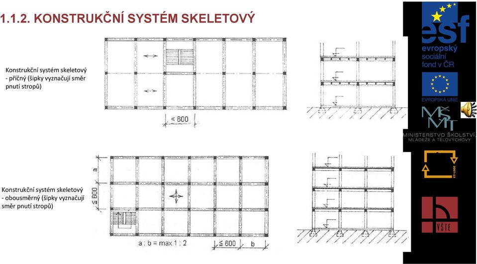 systém skeletový - příčný (šipky vyznačují