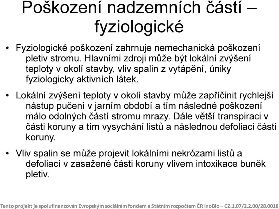 Lokální zvýšení teploty v okolí stavby může zapříčinit rychlejší nástup pučení v jarním období a tím následné poškození málo odolných částí stromu