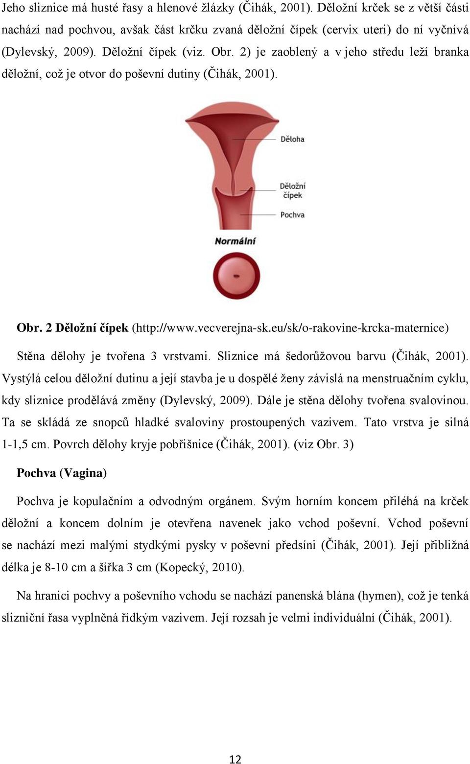 eu/sk/o-rakovine-krcka-maternice) Stěna dělohy je tvořena 3 vrstvami. Sliznice má šedorůžovou barvu (Čihák, 2001).