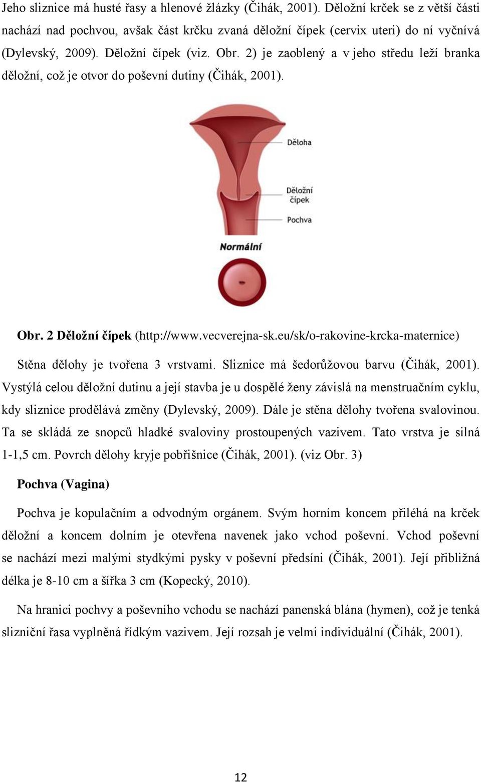 eu/sk/o-rakovine-krcka-maternice) Stěna dělohy je tvořena 3 vrstvami. Sliznice má šedorůžovou barvu (Čihák, 2001).