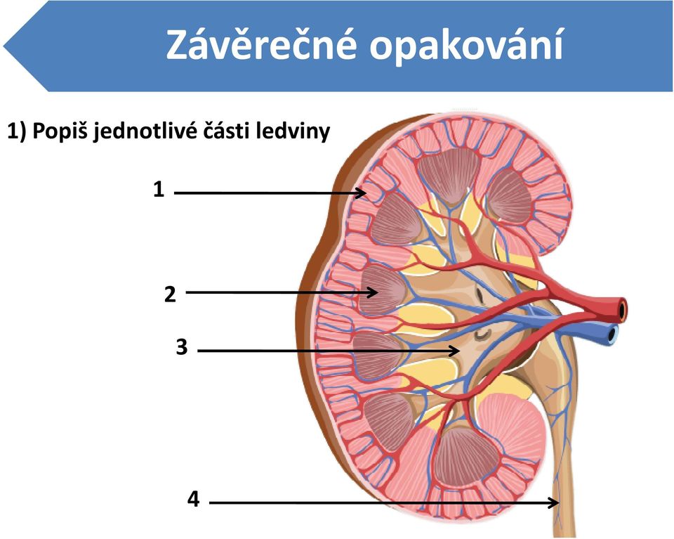 Popiš