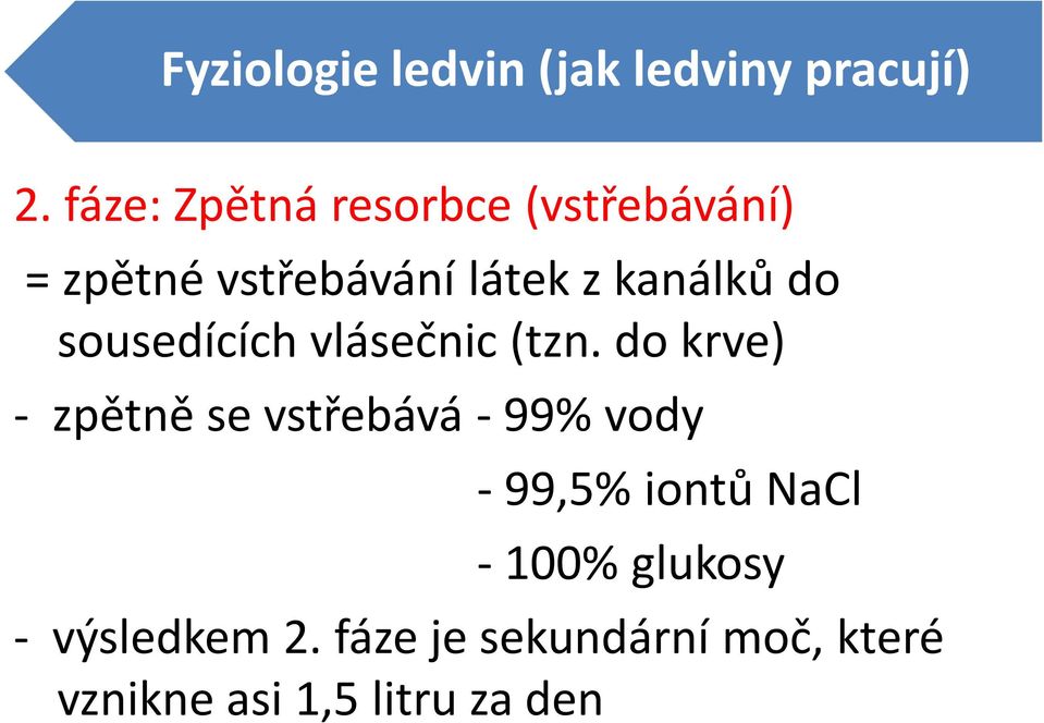 do sousedících vlásečnic (tzn.