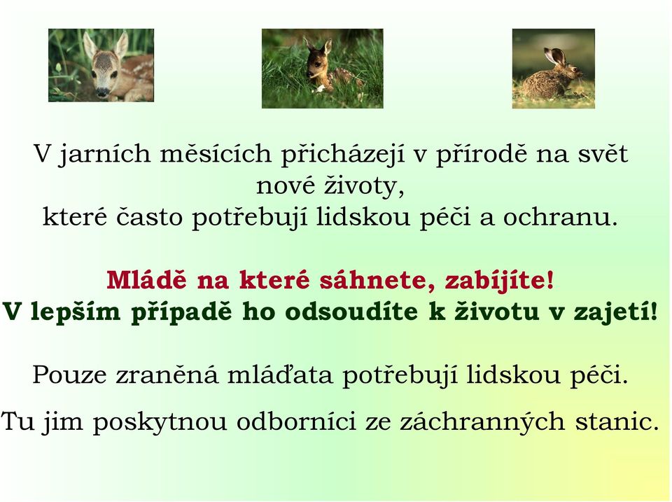 Mládě na které sáhnete, zabíjíte!
