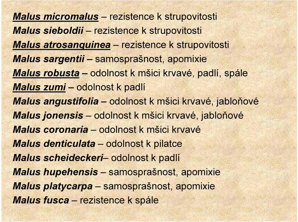 mšici krvavé, jabloňové Malus jonensis odolnost k mšici krvavé, jabloňové Malus coronaria odolnost k mšici krvavé Malus denticulata odolnost k