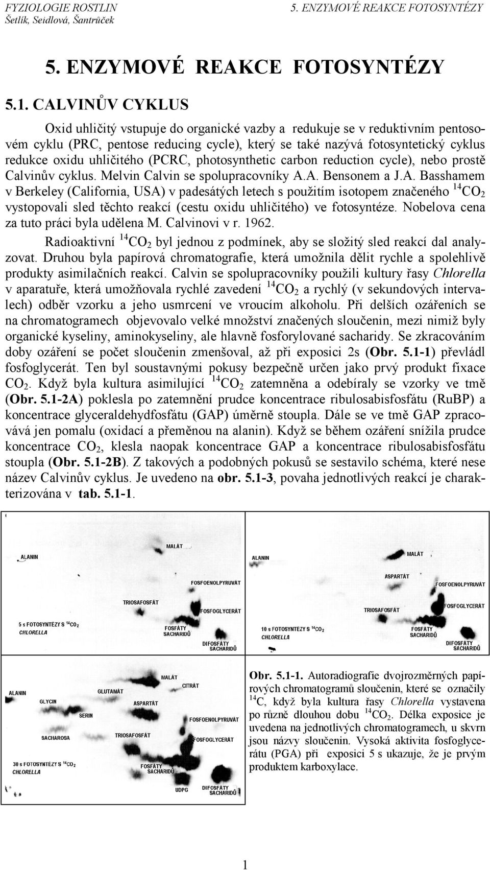 A. Bensonem a J.A. Basshamem v Berkeley (alifornia, USA) v padesátých letech s použitím isotopem značeného 14 O 2 vystopovali sled těchto reakcí (cestu oxidu uhličitého) ve fotosyntéze.