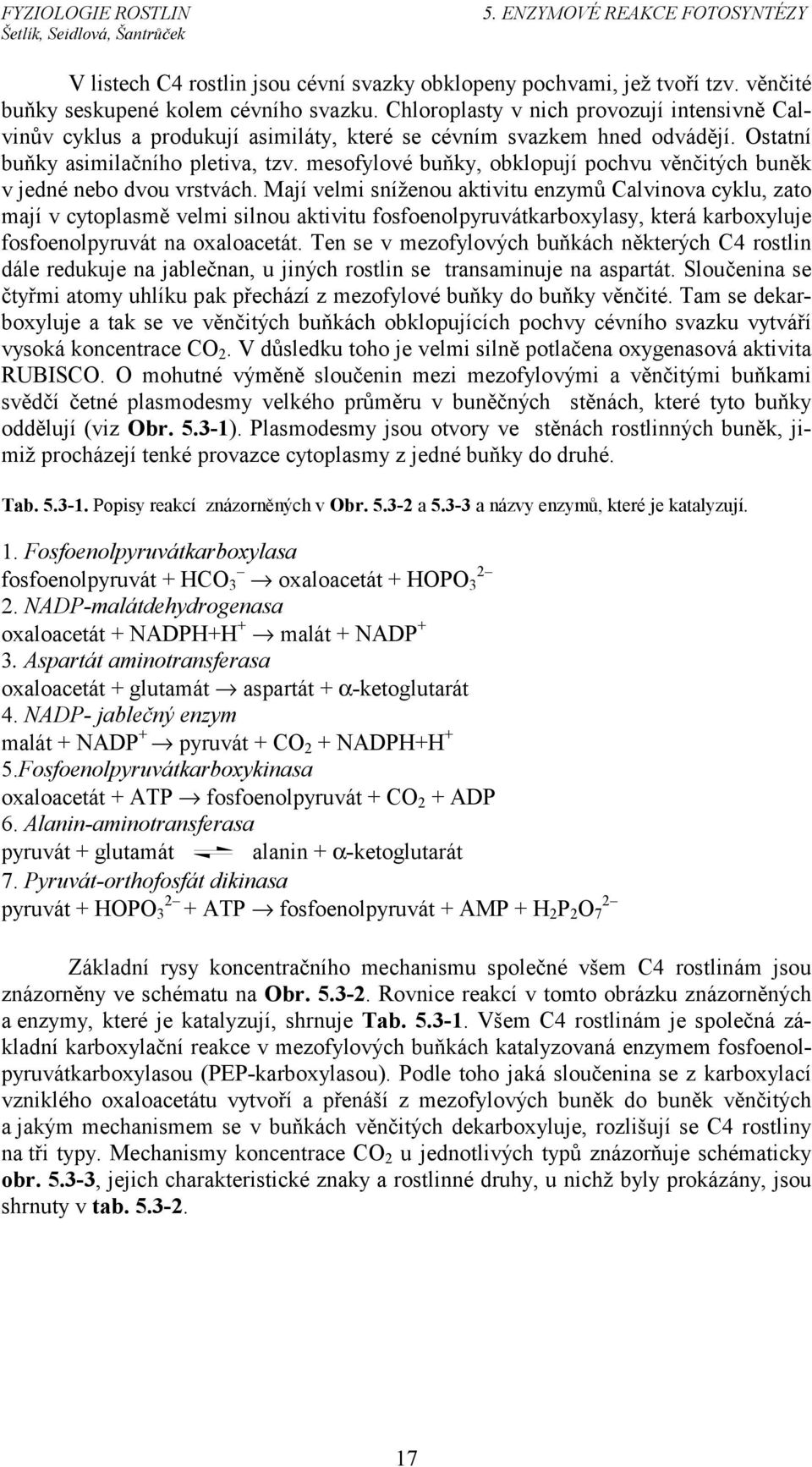 mesofylové buňky, obklopují pochvu věnčitých buněk v jedné nebo dvou vrstvách.