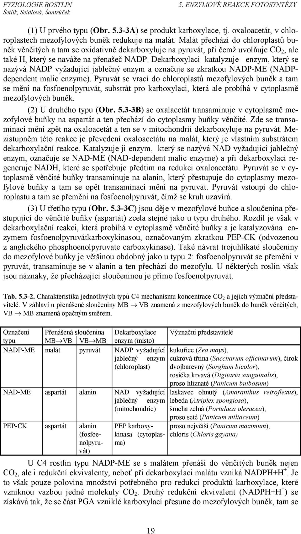 Dekarboxylaci katalyzuje enzym, který se nazývá NADP vyžadující jablečný enzym a označuje se zkratkou NADP-ME (NADPdependent malic enzyme).