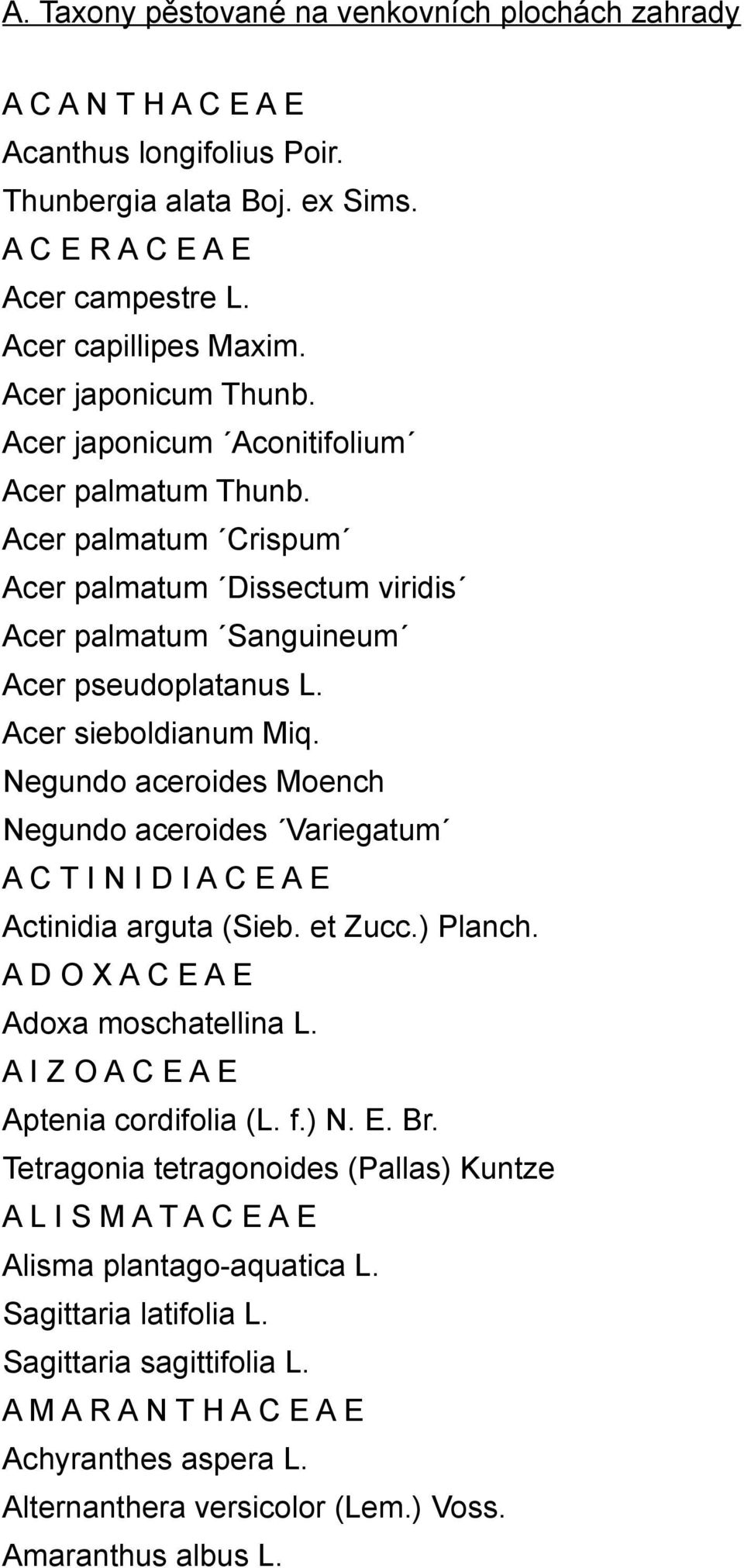 Negundo aceroides Moench Negundo aceroides Variegatum A C T I N I D I A C E A E Actinidia arguta (Sieb. et Zucc.) Planch. A D O X A C E A E Adoxa moschatellina L.