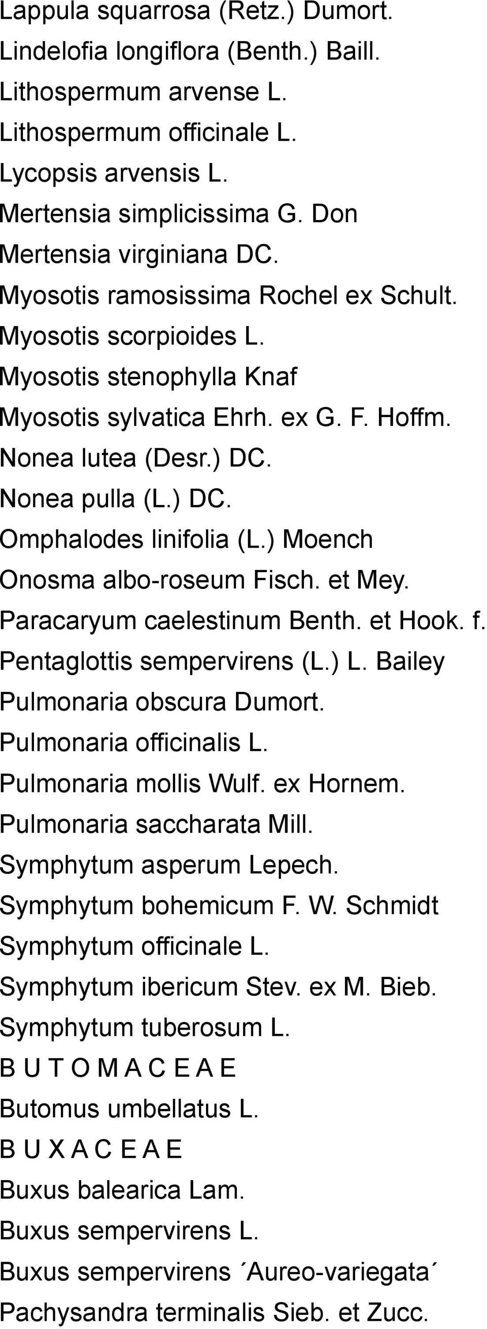) Moench Onosma albo-roseum Fisch. et Mey. Paracaryum caelestinum Benth. et Hook. f. Pentaglottis sempervirens (L.) L. Bailey Pulmonaria obscura Dumort. Pulmonaria officinalis L.