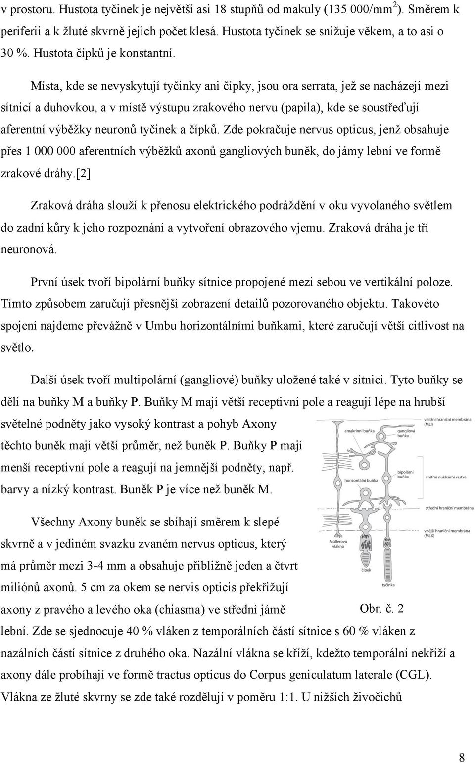 Místa, kde se nevyskytují tyčinky ani čípky, jsou ora serrata, jež se nacházejí mezi sítnicí a duhovkou, a v místě výstupu zrakového nervu (papila), kde se soustřeďují aferentní výběžky neuronů