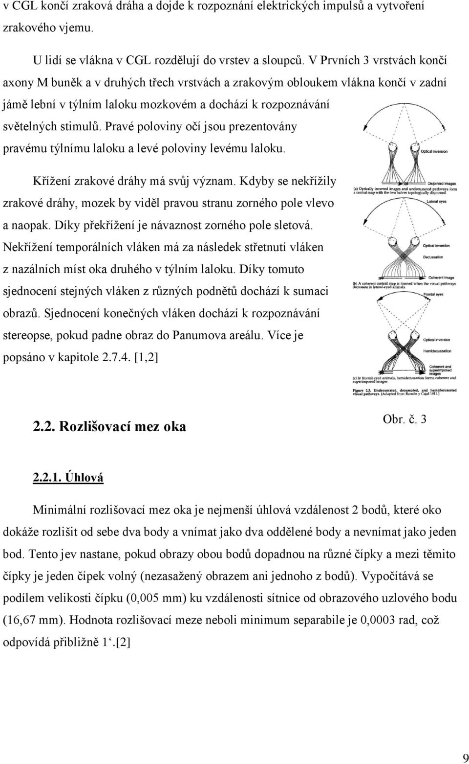 Pravé poloviny očí jsou prezentovány pravému týlnímu laloku a levé poloviny levému laloku. Křížení zrakové dráhy má svůj význam.