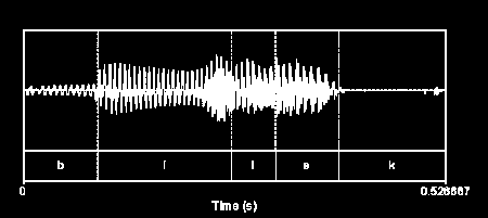 Akustická a auditivní fonetika V některých jazycích (polštině, francouzštině) se uplatňuje i nosní rezonátor. Akustická struktura těchto vokálů se tím pochopitelně mění.